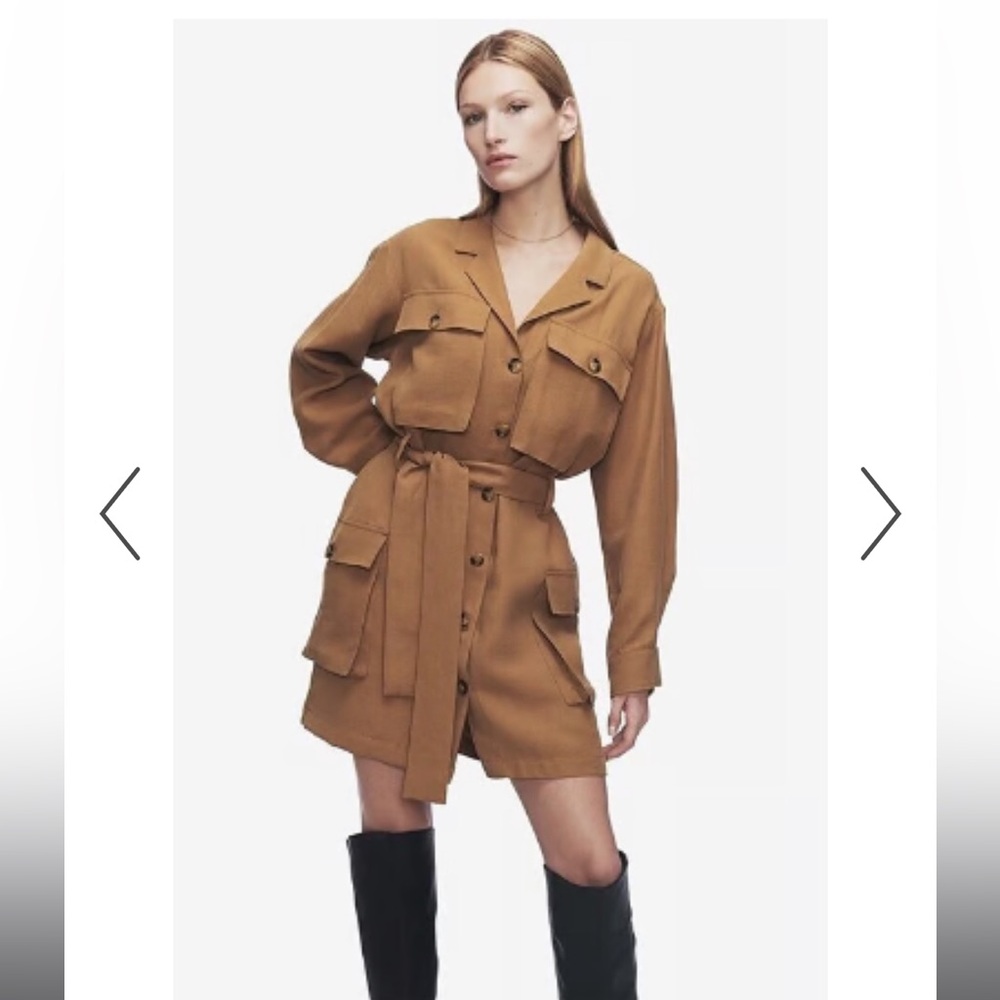 Anine Bing Tan Mini Dress